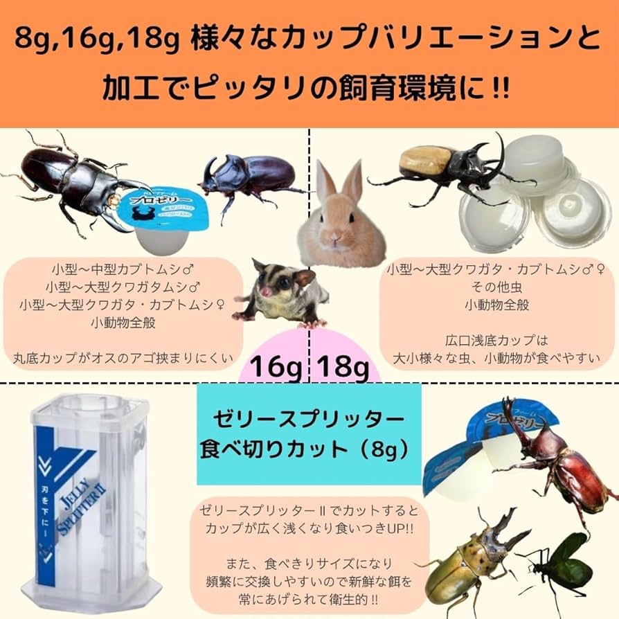 昆虫ゼリー プロゼリー1000クワガタ・カブトムシ・モモンガ・ハムスター・小動物 Amazon | KBファーム プロゼリー(16g 100個入り) 高たんぱく